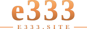 e333 logo
